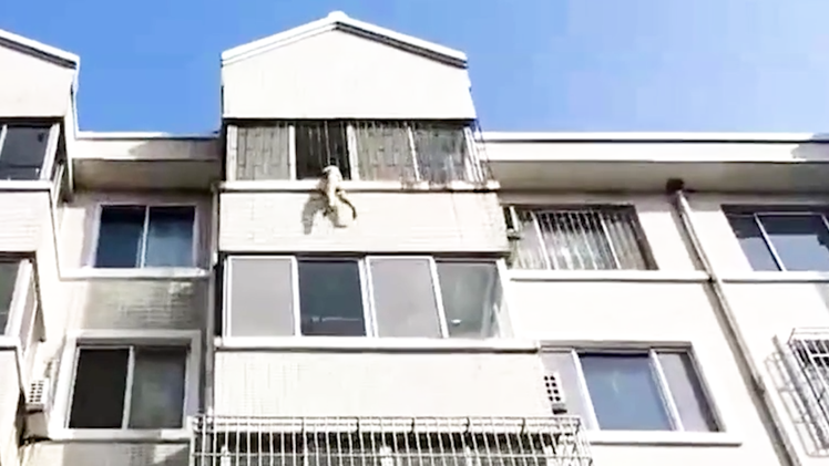 Video: Cứu bé trai 5 tuổi đang treo mình ngoài cửa sổ tầng 4