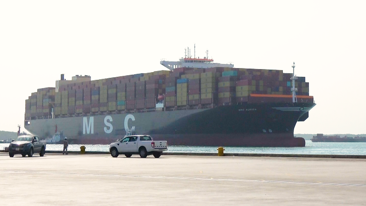 Video: Tàu nước ngoài đạt kỷ lục xếp dỡ hơn 15.000 container tại Việt Nam