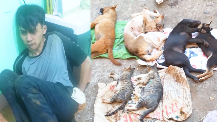 Video: Người dân vây bắt đối tượng sử dụng hung khí đi trộm chó, mèo lúc rạng sáng
