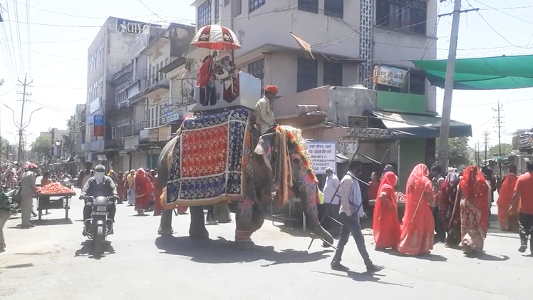 Video: Chú rể vẫn cưỡi voi đi đón dâu bất chấp dịch ở Ấn Độ