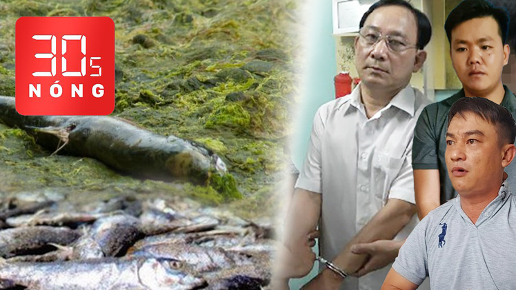 Bản tin 30s Nóng: GĐ Bệnh viện Cai Lậy liên quan đến vụ giết người; Cả ngàn tấn cá chết vì tảo độc nở hoa