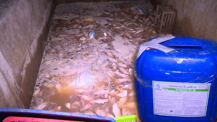 Video: Một cơ sở chế biến khô dùng ‘hóa chất công nghiệp dệt’ để ngâm rửa cá