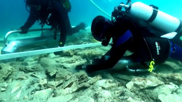 Video: Phát hiện khu định cư 6.000 năm tuổi dưới đáy biển nhờ ảnh vệ tinh