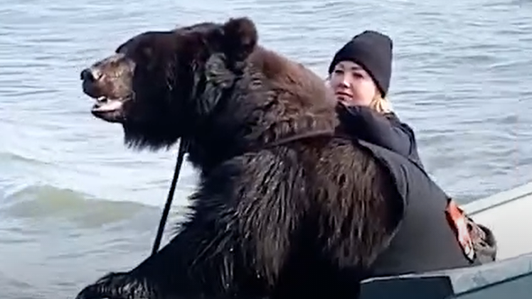 Video: Cô gái nổi tiếng vì nuôi con gấu khổng lồ làm thú cưng