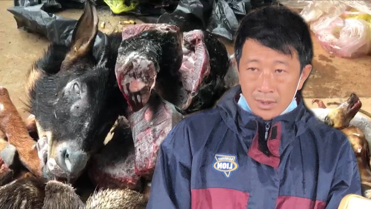 Video: Bắt người chất kín xác thú rừng trong 3 tủ cấp đông