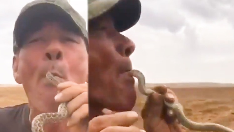Video: Thử thách nuốt rắn vui vui, một người đàn ông tử vong trên cánh đồng dưa hấu
