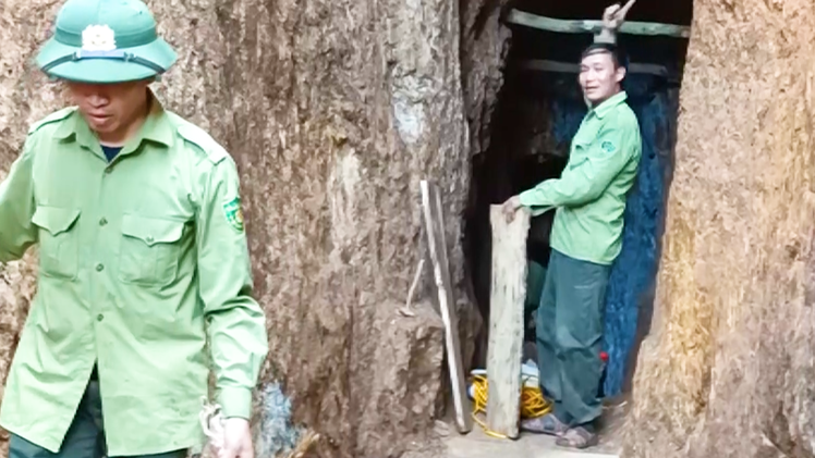 Video: Truy bắt nhóm 'vàng tặc' ở rừng giáp ranh với Khu bảo tồn thiên nhiên Pù Luông