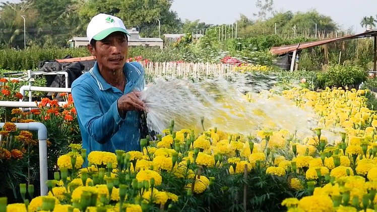 Video: Hoa Tết Sa Đéc 'cháy hàng' dù giá tăng vọt