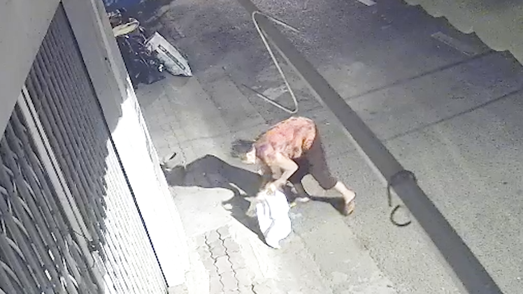 Video: Bức xúc với hình ảnh người phụ nữ đi đánh bả, trộm con mèo lúc rạng sáng