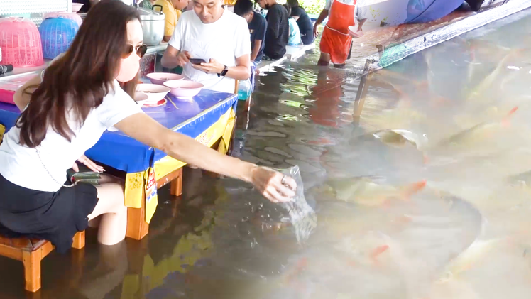 Video: Nhà hàng ngập nước, có đàn cá rỉa chân thu hút du khách