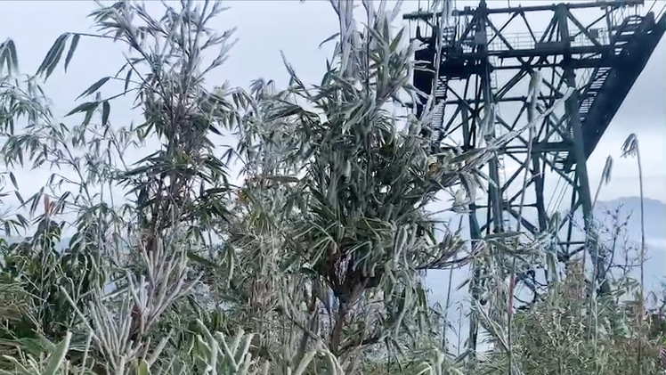 Video: Băng giá phủ trắng rừng Hoàng Liên Sơn và đỉnh Fansipan