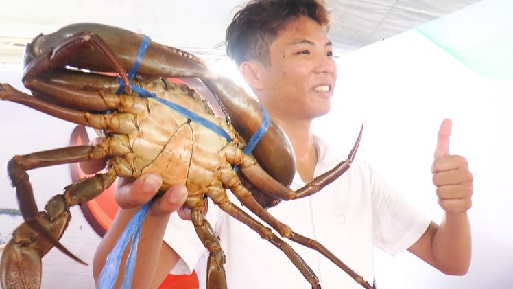 Video: Cận cảnh con cua biển lớn nhất Cà Mau nặng gần 1,5kg, chủ nhân được thưởng 15 triệu