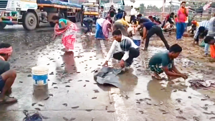 Video: Xe tải chở cá bị lật, người dân mang xô chậu đến thu gom giúp tài xế