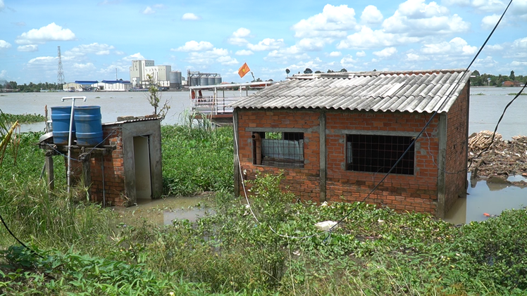 Video: Nhiều căn nhà ‘kêu rắc rắc rồi tuột xuống sông’, cần 200 tỉ chống sạt lở cồn Phú Đa