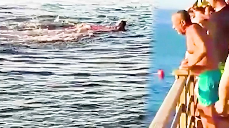 Video: Cá mập tấn công làm 2 nữ du khách tử vong khi bơi ở Biển Đỏ, Ai Cập