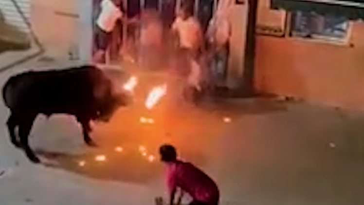 Video: Bò tót húc chết người trong lễ hội ở Tây Ban Nha