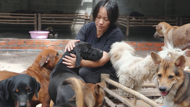 Góc nhìn trưa nay | Chuyện về ngôi ‘nhà chung’ của hàng trăm chó mèo được cứu từ lò mổ