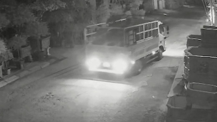 Video: Tạm giữ 2 đối tượng dùng xe tải gắn biển số giả đi trộm cây cảnh