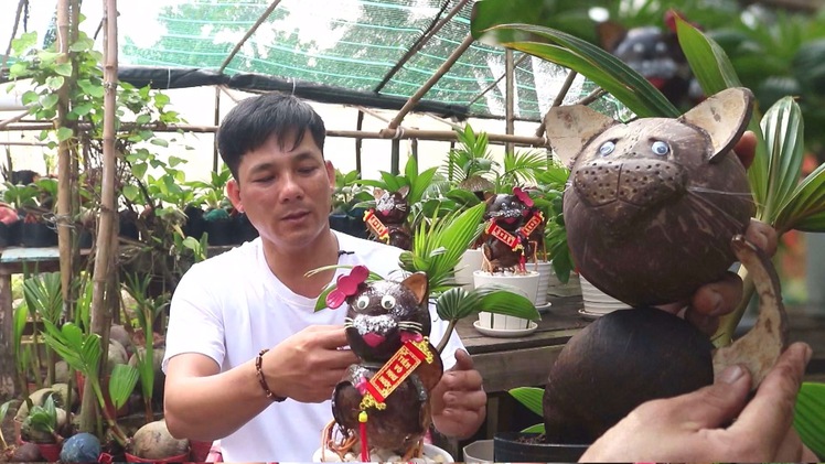 Góc nhìn trưa nay: Bonsai dừa hình mèo hút khách dịp cận Tết Nguyên đán