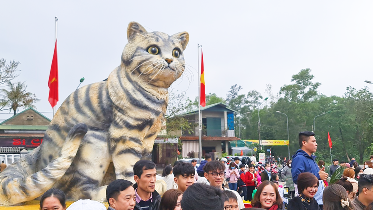 Mùng 4 Tết dòng người tấp nập đến xem 'hoa hậu mèo' ở Quảng Trị