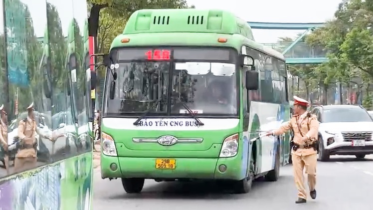Vì sao nhiều tài xế xe buýt ở Hà Nội bị CSGT xử phạt?