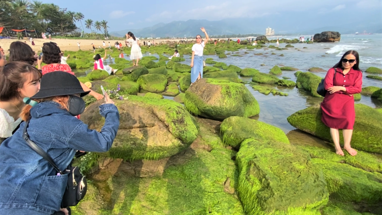 Video: Mê tít thảm rêu xanh biếc dọc biển Đà Nẵng, trai gái kéo về săn ảnh kỷ niệm