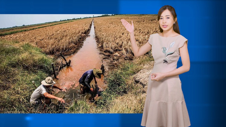 Dự báo thời tiết 13-2: Các tỉnh Tây Nam Bộ đề phòng xâm nhập mặn, ảnh hưởng đến trồng trọt