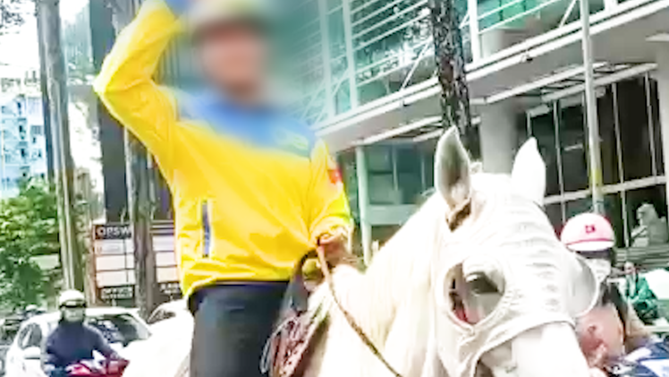 Video: Cưỡi ngựa rong khắp trung tâm TP.HCM, một thanh niên bị xử phạt