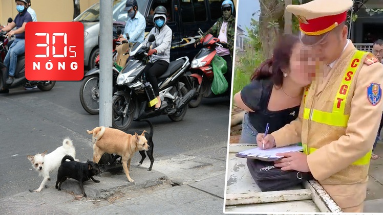 Bản tin 30s Nóng: Quá nhiều chó thả rông, bắt sao cho hết; Tạm giữ người phụ nữ đòi 'hôn CSGT cho đến chết'