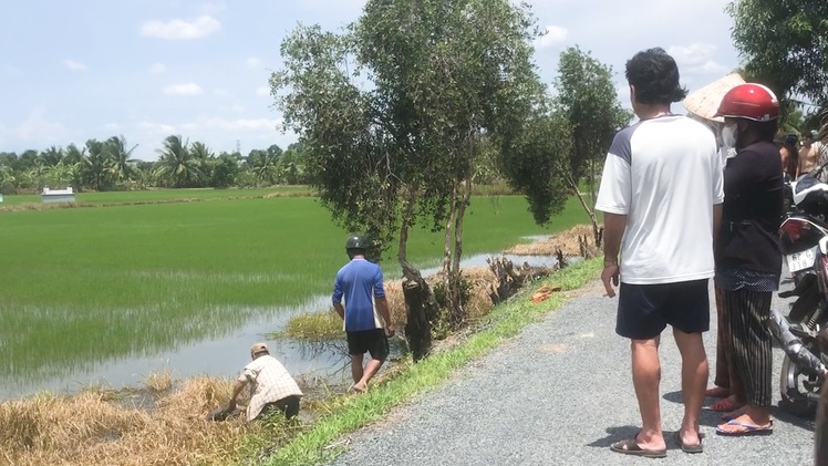 Nam thanh niên chạy xe đạp tự ngã xuống ruộng chết