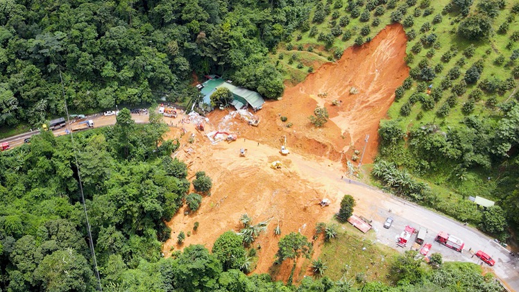 Kiểm tra tính pháp lý vườn sầu riêng bị sạt lở ở đèo Bảo Lộc