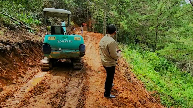 Đà Lạt: Doanh nghiệp mở đường trái phép vào khu du lịch quốc gia hồ Tuyền Lâm