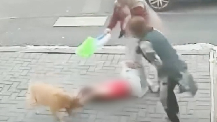 Lại chó thả rông tấn công trẻ em khiến người lớn chật vật giải cứu