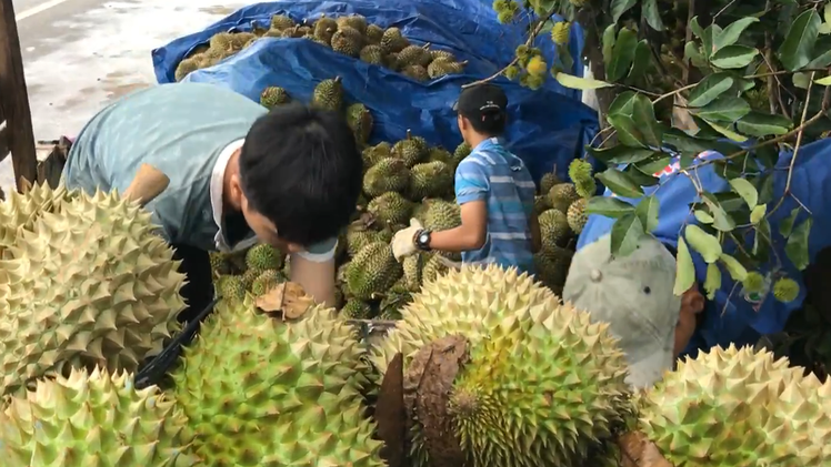 Ba huyện phía nam tỉnh Lâm Đồng đã được sáp nhập, thành lập huyện Đạ Huoai mới