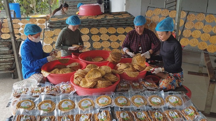 Góc nhìn trưa nay: Làng nghề ép chuối khô ở Cà Mau vào xuân