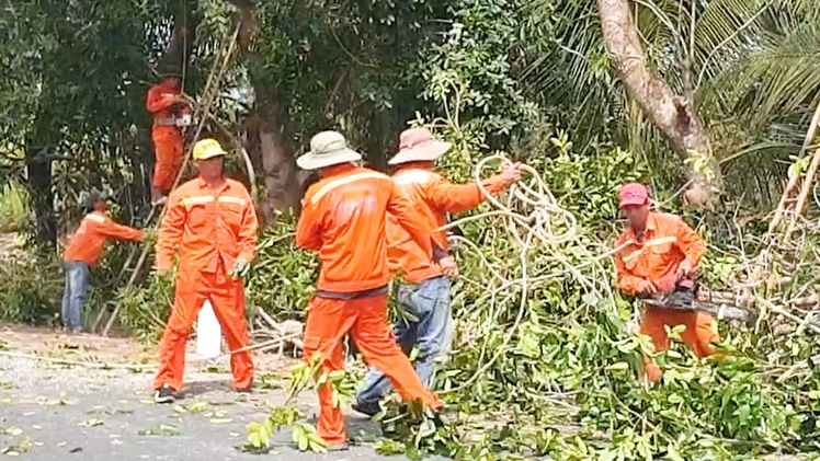 Vì sao Cà Mau phải cưa cây xanh ven sông để chống sạt lở, sụp lún đất?