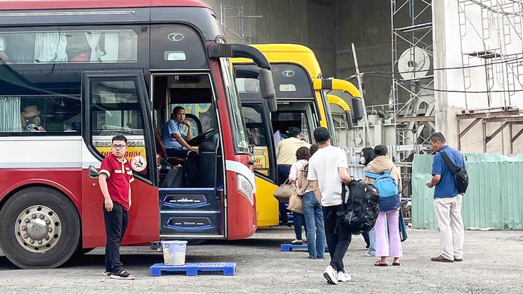 Công ty Thành Bưởi được cấp lại giấy phép kinh doanh vận tải