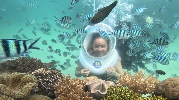 Du khách thích thú lặn biển ngắm ốc tai tượng, san hô ở Phú Quốc