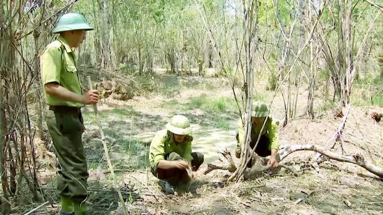 Góc nhìn trưa nay | ‘Hồi sinh’ động vật hoang dã quý hiếm ở Vườn Quốc gia Yok Đôn