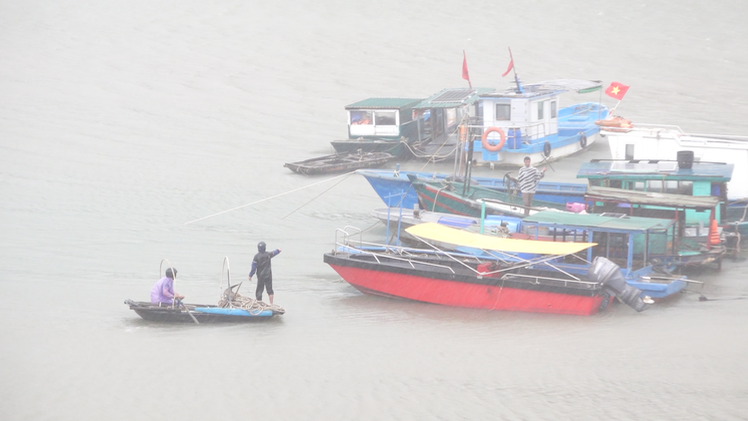 Hình ảnh hiện trường bão số 2 đổ bộ vào Quảng Ninh - Hải Phòng