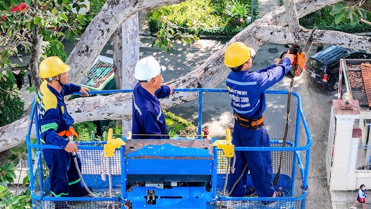 Dùng Flycam và xe nâng kiểm tra, cắt tỉa cây xanh lâu năm tại công viên Tao Đàn