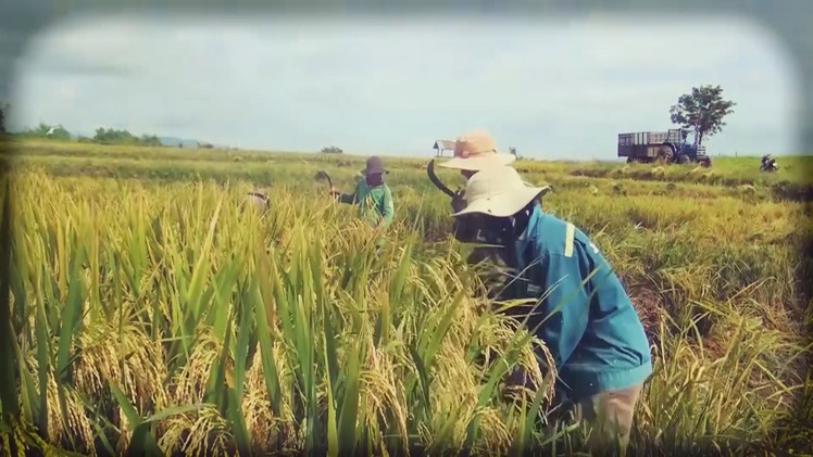 Góc nhìn trưa nay | Chuyển dịch cơ cấu kinh tế, nâng cao đời sống cho người dân