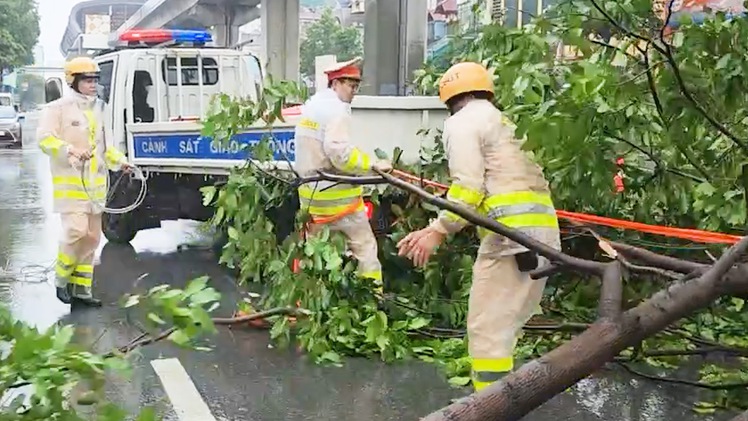 Cây xanh đổ la liệt trên đường phố Hà Nội, cảnh sát hỗ trợ dọn dẹp ngay trong mưa bão