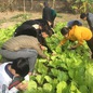 Teen Trường cấp III Nông nghiệp Nam Định học làm nông theo kiểu Nhật