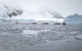 Phát hiện vi khuẩn 'siêu năng lực' ở Nam Cực